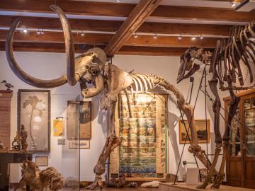 Museum Natura Docet
