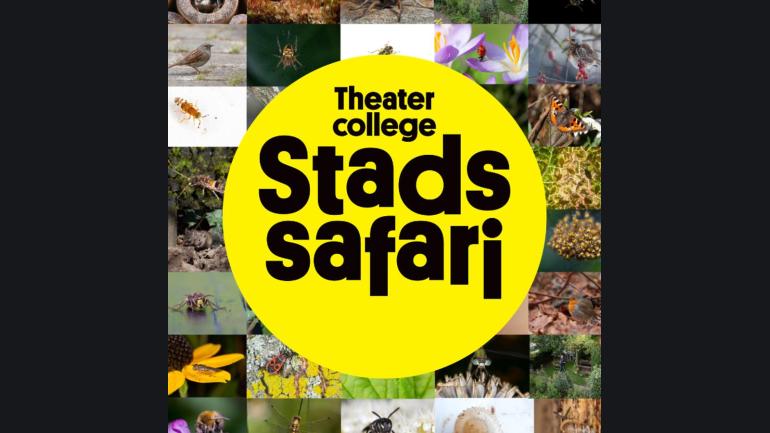 Stadssafari (6+)