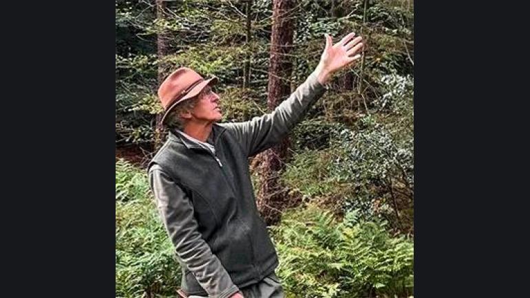 De eik, de koning van ons bos?