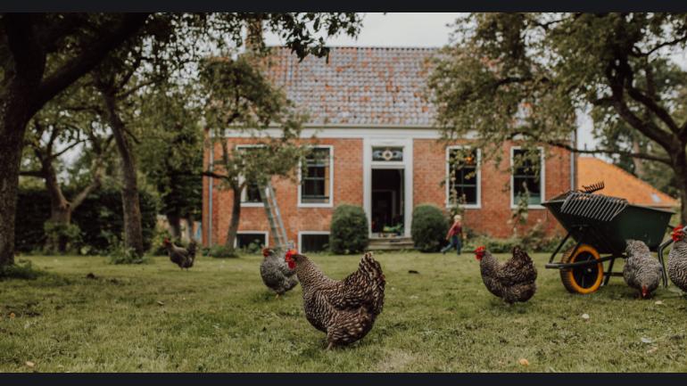 Op Maarhuizen