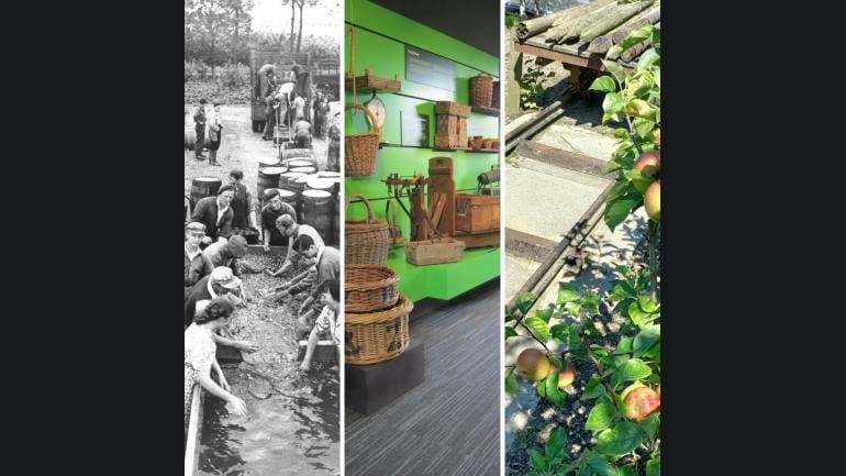 ZeeuwsFruitMuseum
