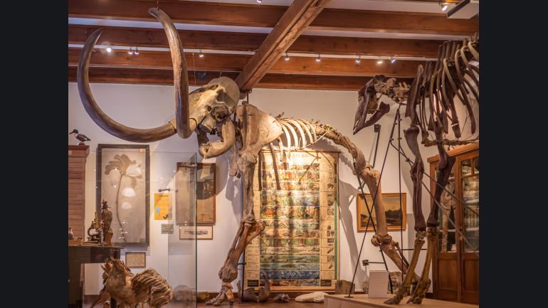 Museum Natura Docet