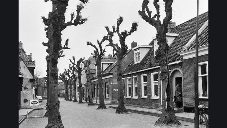Het Wapen van Langweer