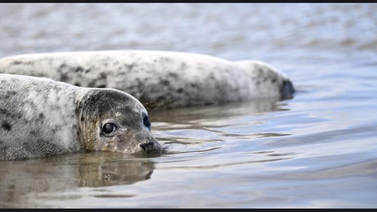 Werelderfgoedcentrum (WEC) Waddenzee