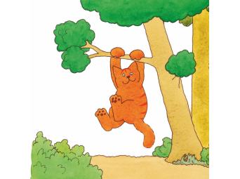 Dikkie Dik (2+)