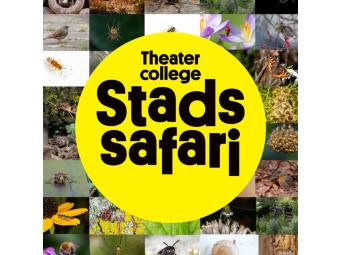 Stadssafari (6+)