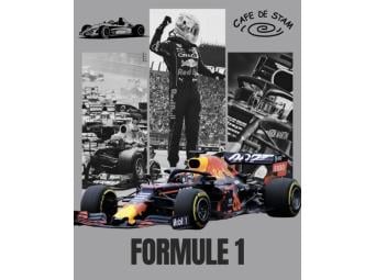 Formule 1 - Austin