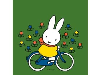 Nijntje op de fiets (2+)