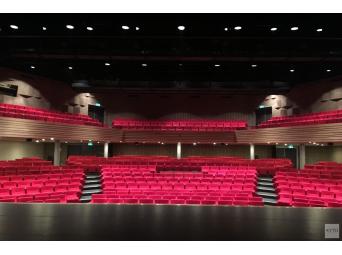 Waylon