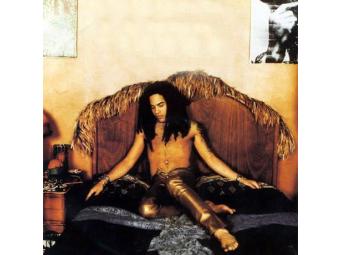 Lenny Kravitz Undercover (met leden van Gotcha! En Kraak&Smaak) entree €17,50
