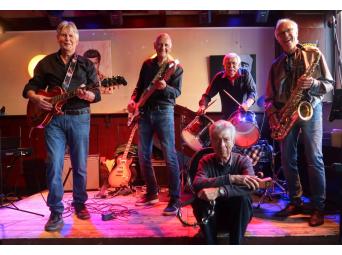 Donkeylandband