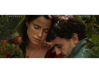 Hamnet Filmhuis Meppel