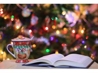 Kerst met Porgy Literatuur