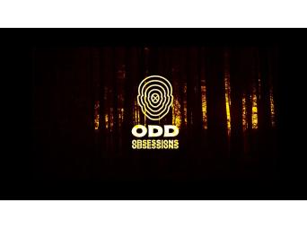 odd obsessions