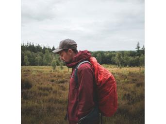 Wanderings