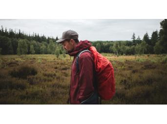 Wanderings
