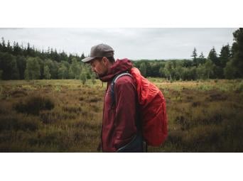Wanderings