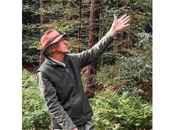 De eik, de koning van ons bos?