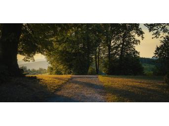 Beethovens Pastorale