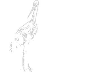Theetuin Eemnes / Brave Hendrik