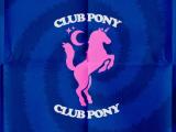 Paardcafé: Club Pony!