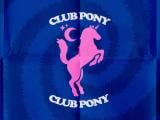 Paardcafé: Club Pony!