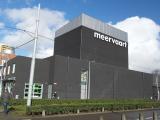 Het lammetje dat een varken is