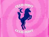 Paardcafé: Club Pony