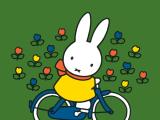 Nijntje op de fiets (2+)