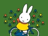 Nijntje op de fiets (2+)