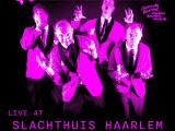 Geannuleerd: The Monsters (CH), Dear Omen