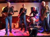 Donkeylandband