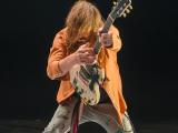 THE LEMONHEADS