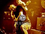the black fall