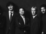 The Young Analogues