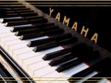 Lunchconcert: Ksenia Kouzmenko