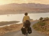 Cycle of love
