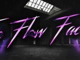 Flow Factory