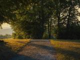 Beethovens Pastorale