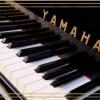 Lunchconcert: Utrecht Piano Trio