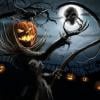Halloween Night
