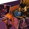 Donderpop met 70’s Alive, Amplified en … ook optreden? Laat het weten!