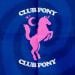 Paardcafe: Club Pony
