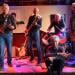 Donkeylandband