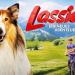 FilmHuis De Kappen: Lassie, een nieuw avontuur