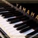 Lunchconcert: Melisma Saxophone Quartet & Lestari Scholtes