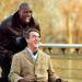 Intouchables in Concert