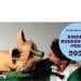 Manenwolf en de Gier (4+) | Zaantheater