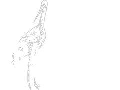 Theetuin Eemnes / Brave Hendrik