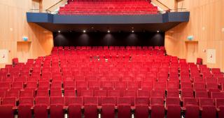 Theater de Hofnar
